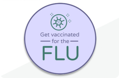 Click to open larger screenshot of Flu health campaign