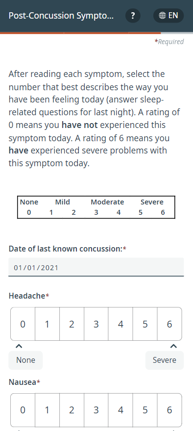 A screenshot of the questionnaire.