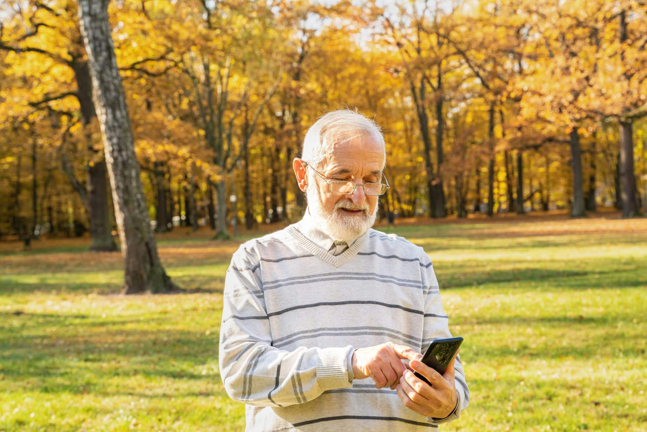 Senior man with white beard wearing striped sweater looking at smartphone in autumn park with golden trees and green grass in background