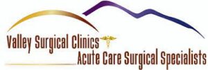 Valley Surgical Clinics Acute Care Surgical Specialists logo with purple and gold mountain design above text in burgundy and gold colors